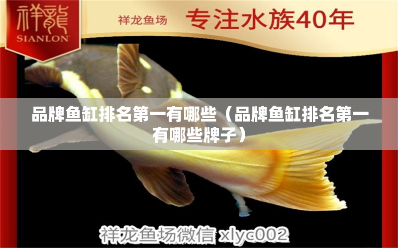 品牌魚缸排名第一有哪些（品牌魚缸排名第一有哪些牌子）