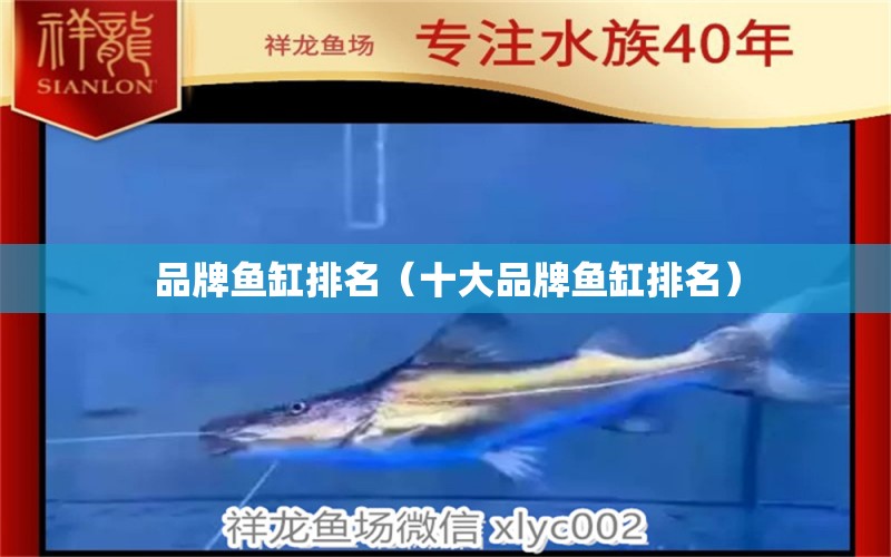 品牌魚缸排名（十大品牌魚缸排名）