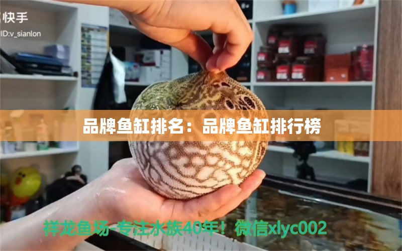 品牌魚(yú)缸排名：品牌魚(yú)缸排行榜