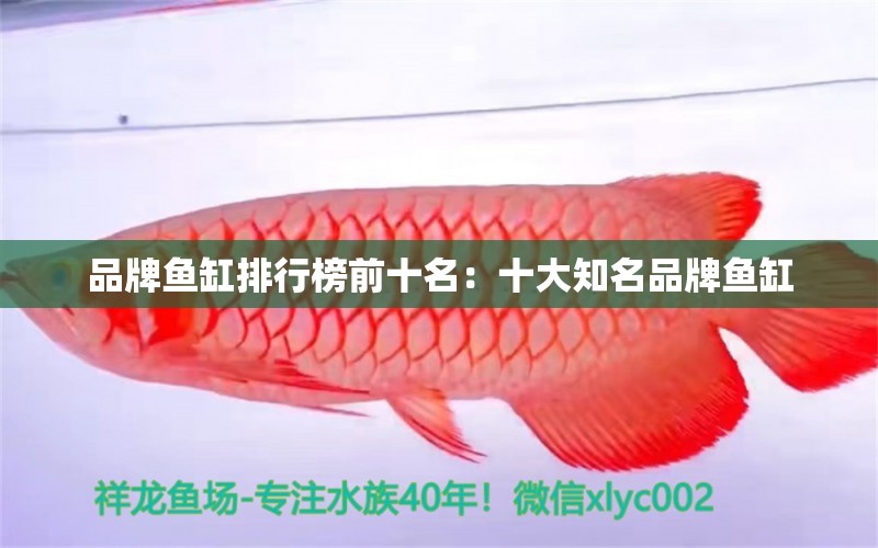 品牌魚缸排行榜前十名：十大知名品牌魚缸 廣州龍魚批發(fā)市場(chǎng)