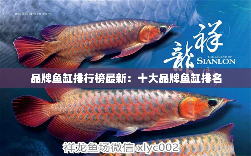 品牌魚缸排行榜最新：十大品牌魚缸排名