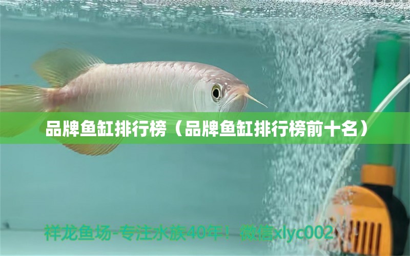 品牌魚缸排行榜（品牌魚缸排行榜前十名）