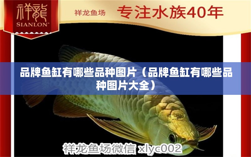 品牌魚(yú)缸有哪些品種圖片（品牌魚(yú)缸有哪些品種圖片大全）