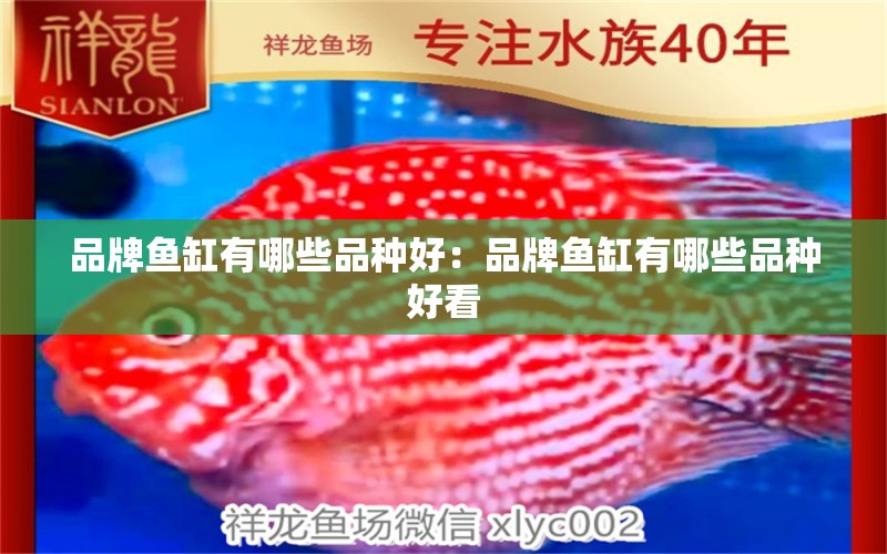 品牌魚缸有哪些品種好：品牌魚缸有哪些品種好看