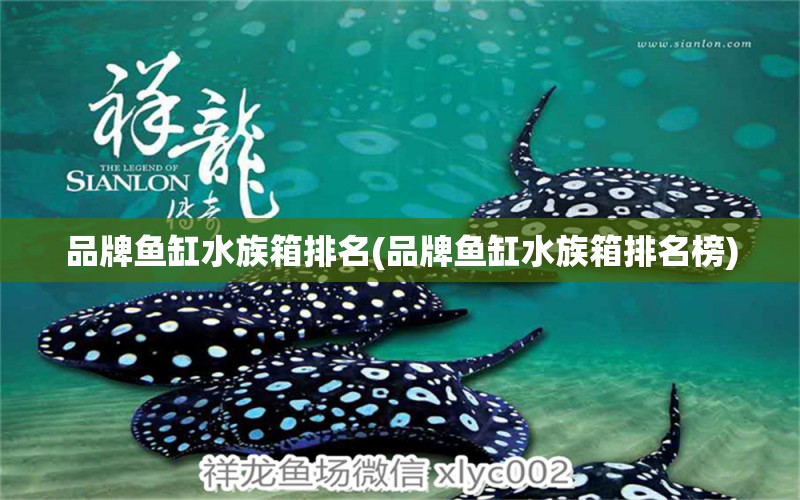 品牌魚缸水族箱排名(品牌魚缸水族箱排名榜) 魚缸/水族箱