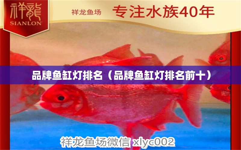 品牌魚缸燈排名（品牌魚缸燈排名前十）