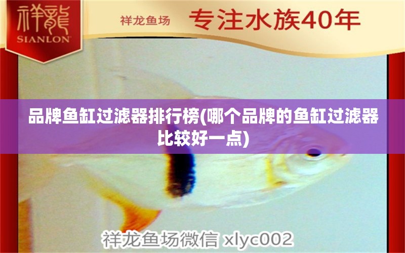 品牌魚缸過(guò)濾器排行榜(哪個(gè)品牌的魚缸過(guò)濾器比較好一點(diǎn)) 觀賞龜/鱉飼料