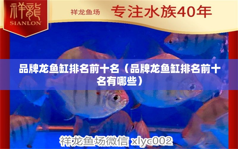 品牌龍魚缸排名前十名（品牌龍魚缸排名前十名有哪些）