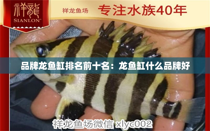 品牌龍魚(yú)缸排名前十名：龍魚(yú)缸什么品牌好