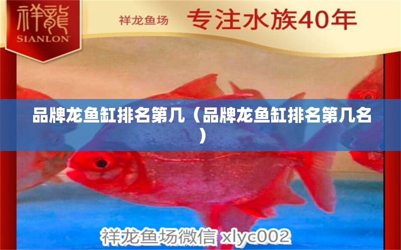 品牌龍魚(yú)缸排名第幾（品牌龍魚(yú)缸排名第幾名）