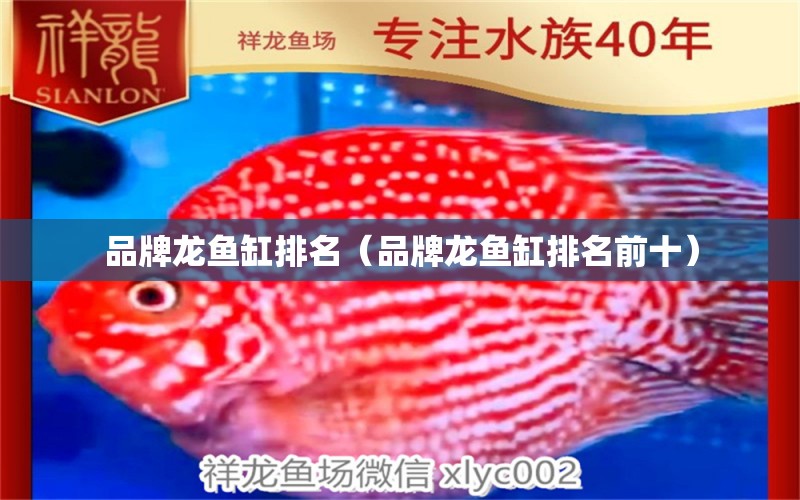 品牌龍魚(yú)缸排名（品牌龍魚(yú)缸排名前十）