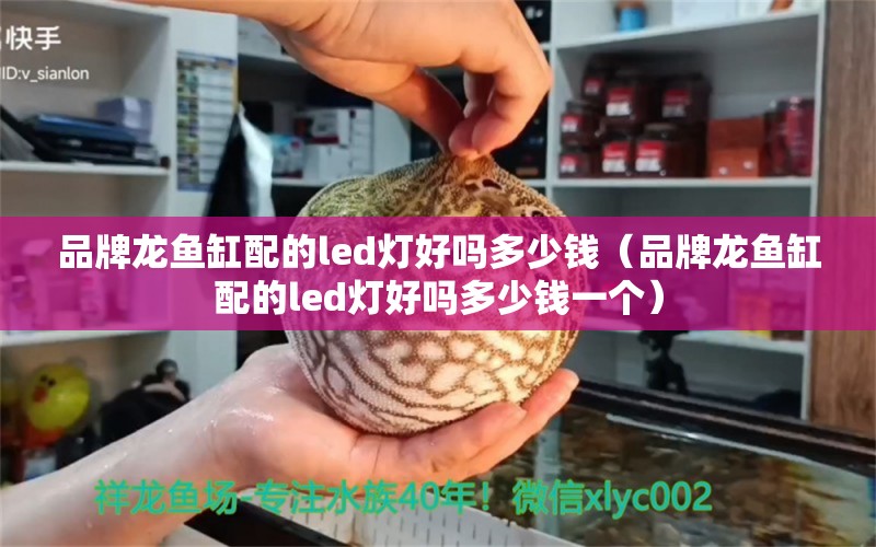 品牌龍魚(yú)缸配的led燈好嗎多少錢(qián)（品牌龍魚(yú)缸配的led燈好嗎多少錢(qián)一個(gè)）