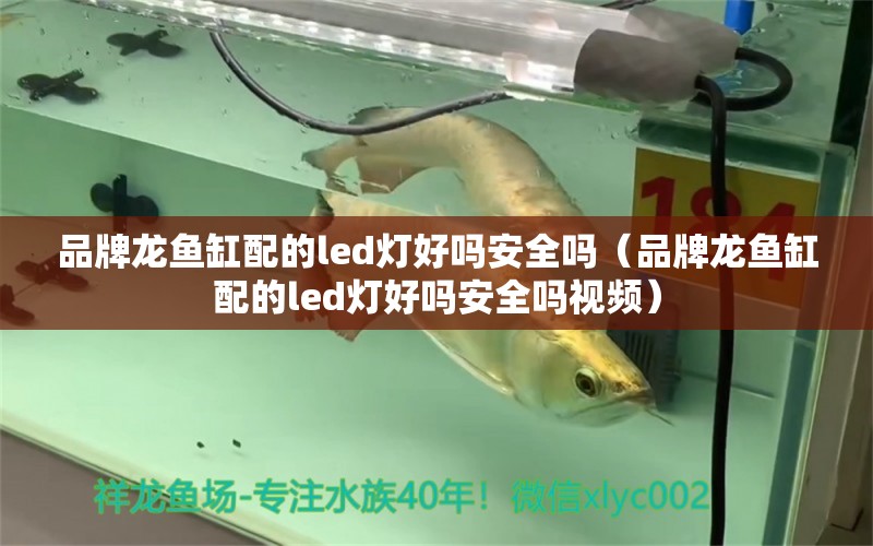 品牌龍魚(yú)缸配的led燈好嗎安全嗎（品牌龍魚(yú)缸配的led燈好嗎安全嗎視頻）