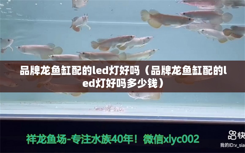 品牌龍魚缸配的led燈好嗎（品牌龍魚缸配的led燈好嗎多少錢）