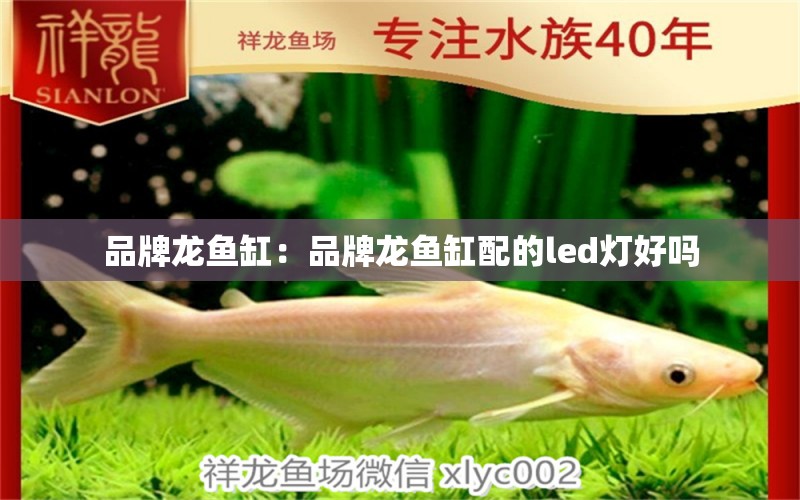 品牌龍魚缸：品牌龍魚缸配的led燈好嗎