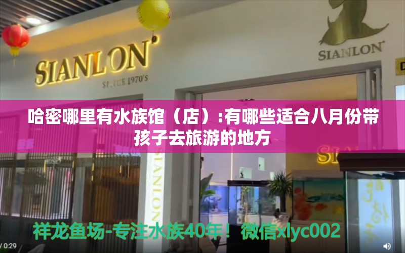 哈密哪里有水族館（店）:有哪些適合八月份帶孩子去旅游的地方