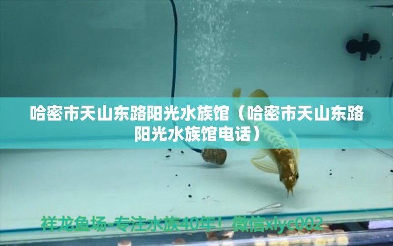 哈密市天山東路陽光水族館（哈密市天山東路陽光水族館電話） 全國水族館企業(yè)名錄