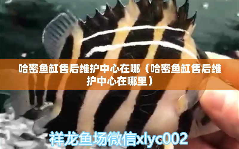 哈密魚缸售后維護中心在哪（哈密魚缸售后維護中心在哪里）