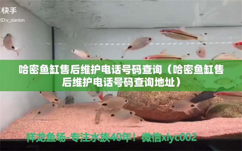 哈密魚缸售后維護電話號碼查詢（哈密魚缸售后維護電話號碼查詢地址）