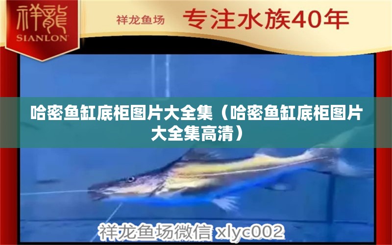 哈密魚缸底柜圖片大全集（哈密魚缸底柜圖片大全集高清）