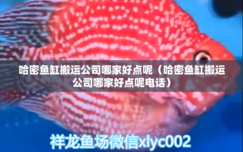 哈密魚(yú)缸搬運(yùn)公司哪家好點(diǎn)呢（哈密魚(yú)缸搬運(yùn)公司哪家好點(diǎn)呢電話）