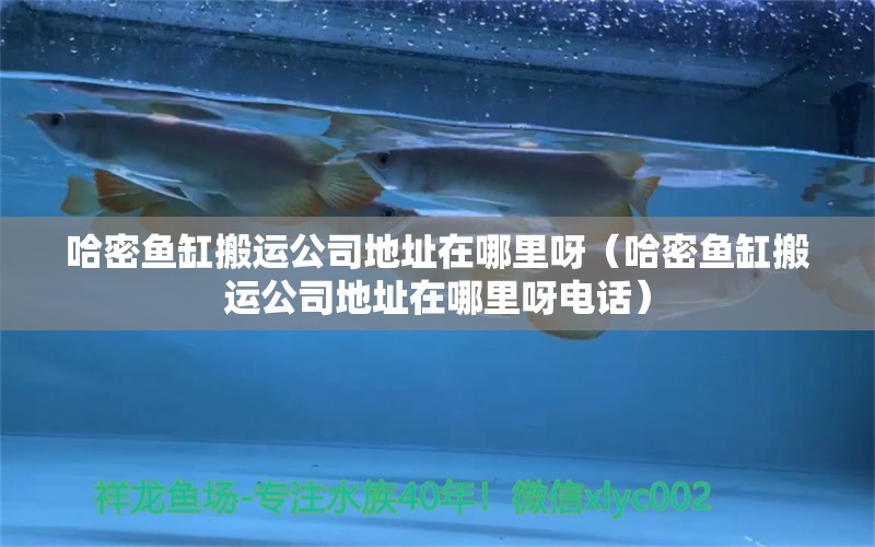 哈密魚缸搬運公司地址在哪里呀（哈密魚缸搬運公司地址在哪里呀電話）