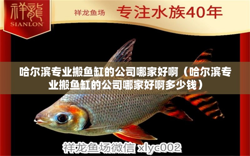 哈爾濱專(zhuān)業(yè)搬魚(yú)缸的公司哪家好?。ü枮I專(zhuān)業(yè)搬魚(yú)缸的公司哪家好啊多少錢(qián)）