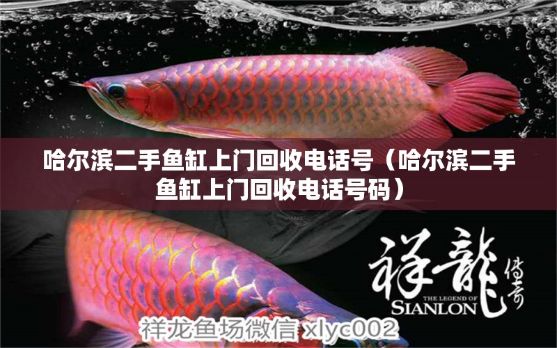 哈爾濱二手魚(yú)缸上門(mén)回收電話號(hào)（哈爾濱二手魚(yú)缸上門(mén)回收電話號(hào)碼）