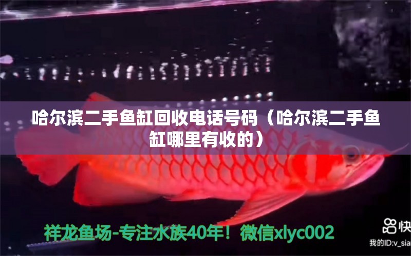 哈爾濱二手魚缸回收電話號碼（哈爾濱二手魚缸哪里有收的）