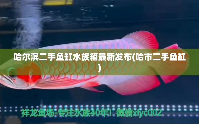 哈爾濱二手魚缸水族箱最新發(fā)布(哈市二手魚缸) 魚缸/水族箱