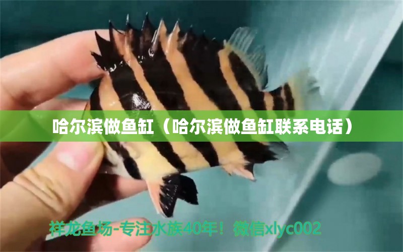 哈爾濱做魚缸（哈爾濱做魚缸聯(lián)系電話）