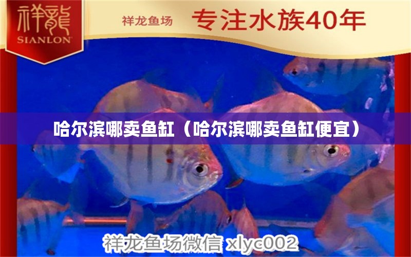 哈爾濱哪賣魚缸（哈爾濱哪賣魚缸便宜） 其他品牌魚缸