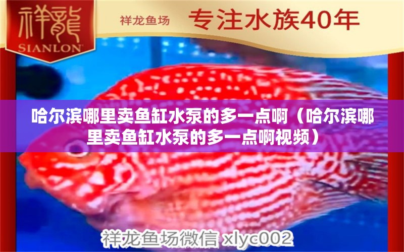 哈爾濱哪里賣魚缸水泵的多一點?。ü枮I哪里賣魚缸水泵的多一點啊視頻）