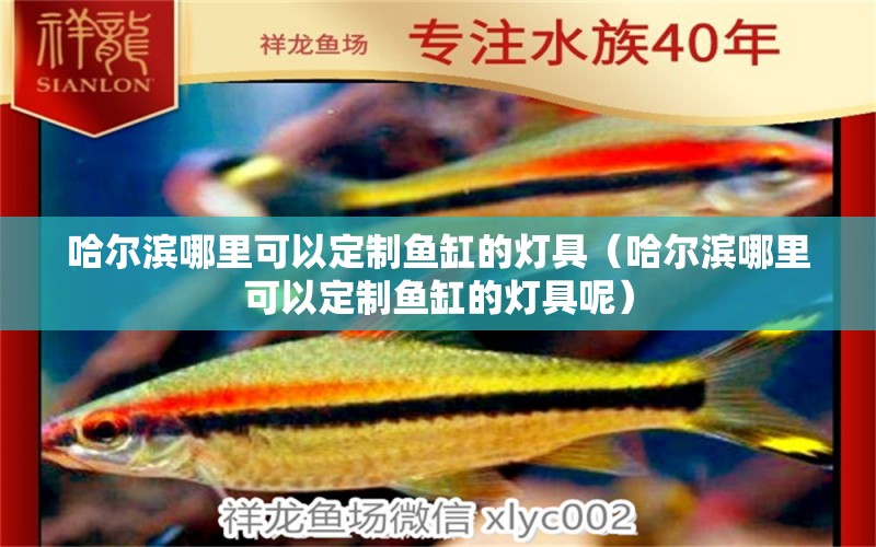 哈爾濱哪里可以定制魚缸的燈具（哈爾濱哪里可以定制魚缸的燈具呢）