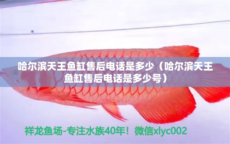 哈爾濱天王魚缸售后電話是多少（哈爾濱天王魚缸售后電話是多少號） 量子養(yǎng)魚技術(shù)