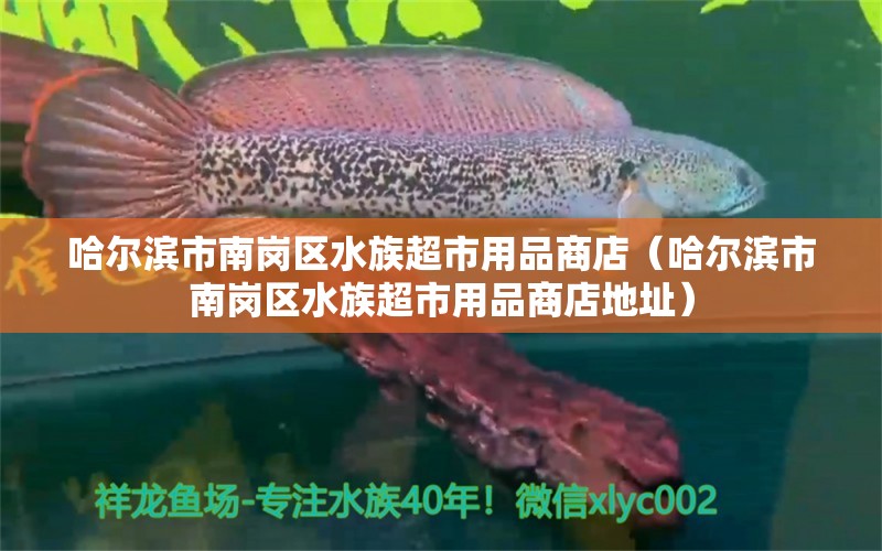 哈爾濱市南崗區(qū)水族超市用品商店（哈爾濱市南崗區(qū)水族超市用品商店地址）