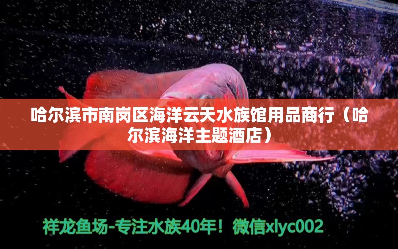 哈爾濱市南崗區(qū)海洋云天水族館用品商行（哈爾濱海洋主題酒店） 全國水族館企業(yè)名錄