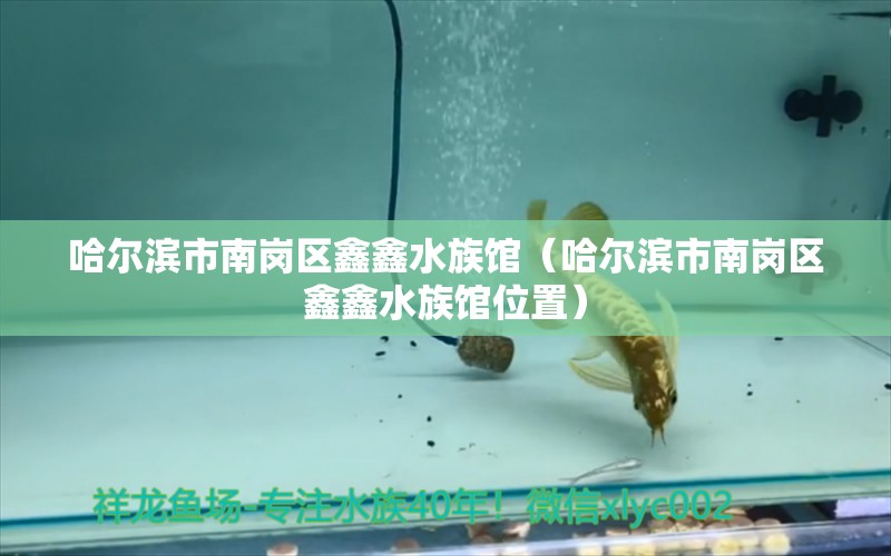 哈爾濱市南崗區(qū)鑫鑫水族館（哈爾濱市南崗區(qū)鑫鑫水族館位置）