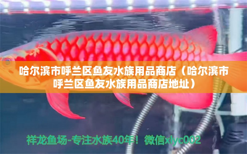 哈爾濱市呼蘭區(qū)魚友水族用品商店（哈爾濱市呼蘭區(qū)魚友水族用品商店地址）