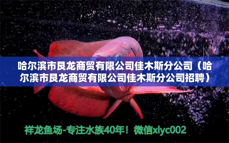 哈爾濱市艮龍商貿(mào)有限公司佳木斯分公司（哈爾濱市艮龍商貿(mào)有限公司佳木斯分公司招聘）