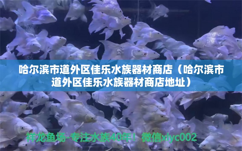 哈爾濱市道外區(qū)佳樂水族器材商店（哈爾濱市道外區(qū)佳樂水族器材商店地址）