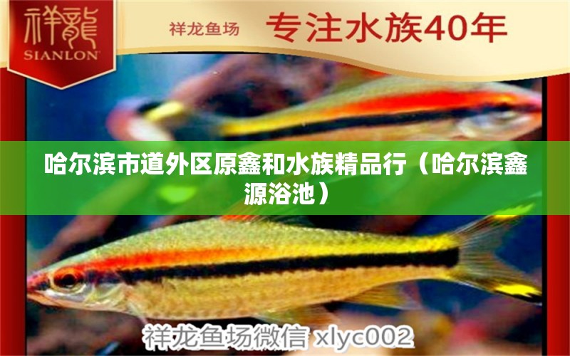 哈爾濱市道外區(qū)原鑫和水族精品行（哈爾濱鑫源浴池） 全國水族館企業(yè)名錄