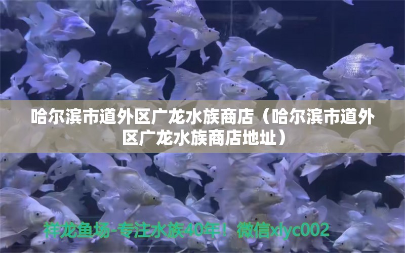 哈爾濱市道外區(qū)廣龍水族商店（哈爾濱市道外區(qū)廣龍水族商店地址）