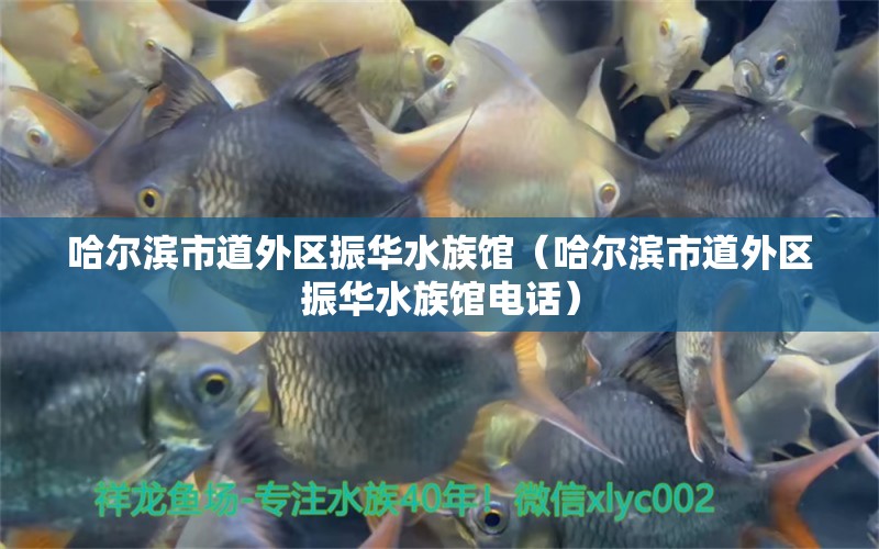 哈爾濱市道外區(qū)振華水族館（哈爾濱市道外區(qū)振華水族館電話）