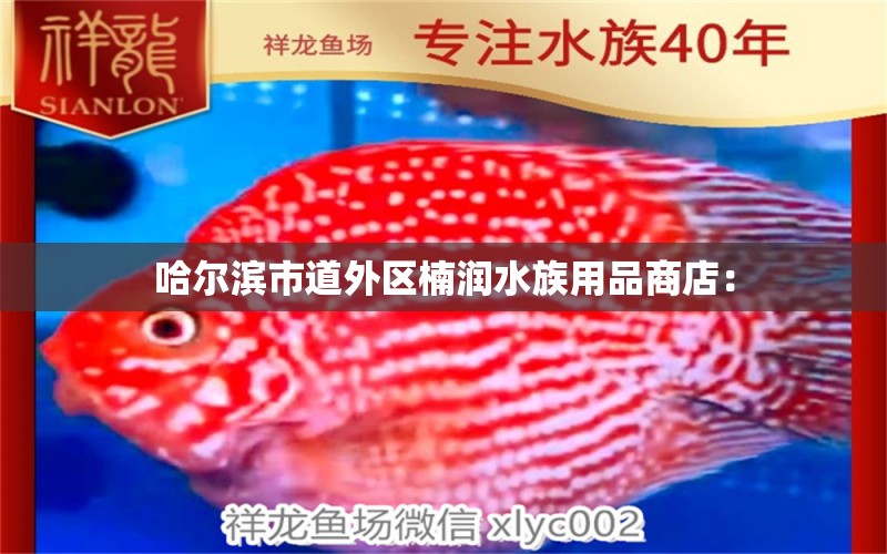 哈爾濱市道外區(qū)楠潤水族用品商店：