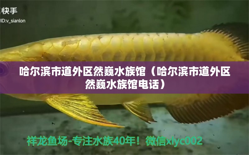 哈爾濱市道外區(qū)然巍水族館（哈爾濱市道外區(qū)然巍水族館電話）