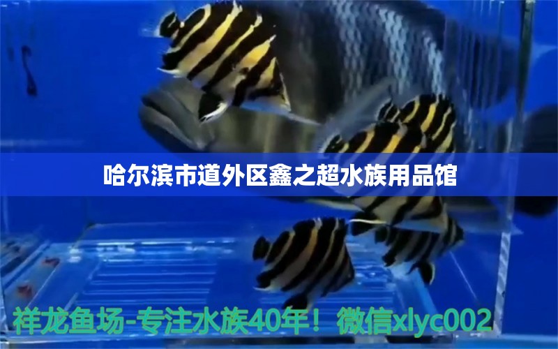 哈爾濱市道外區(qū)鑫之超水族用品館