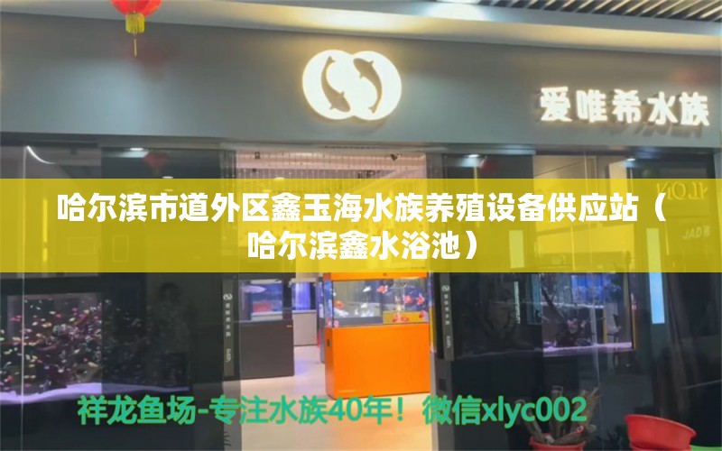 哈爾濱市道外區(qū)鑫玉海水族養(yǎng)殖設備供應站（哈爾濱鑫水浴池） 全國水族館企業(yè)名錄