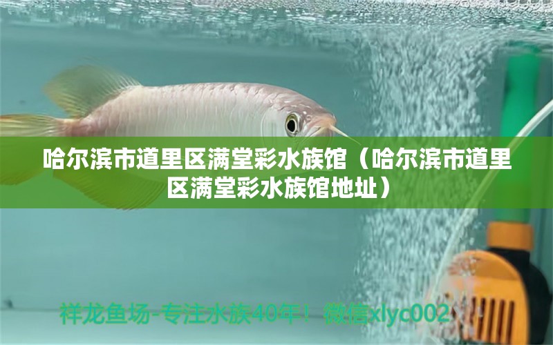 哈爾濱市道里區(qū)滿堂彩水族館（哈爾濱市道里區(qū)滿堂彩水族館地址）