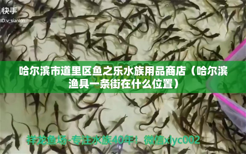 哈爾濱市道里區(qū)魚之樂(lè)水族用品商店（哈爾濱漁具一條街在什么位置）